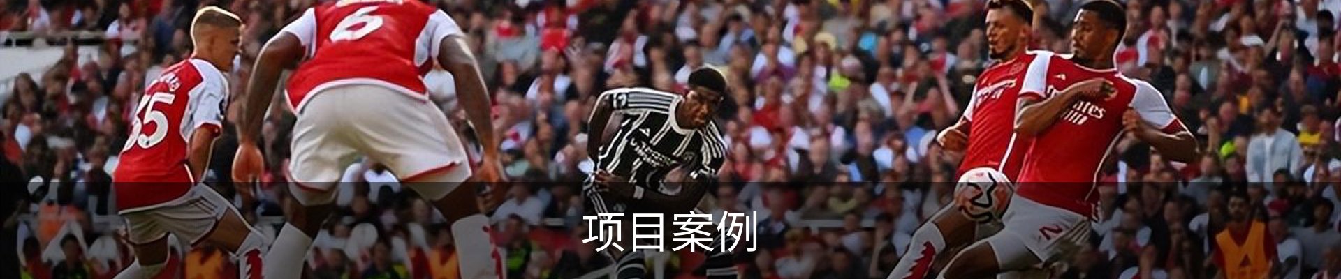 项目案例